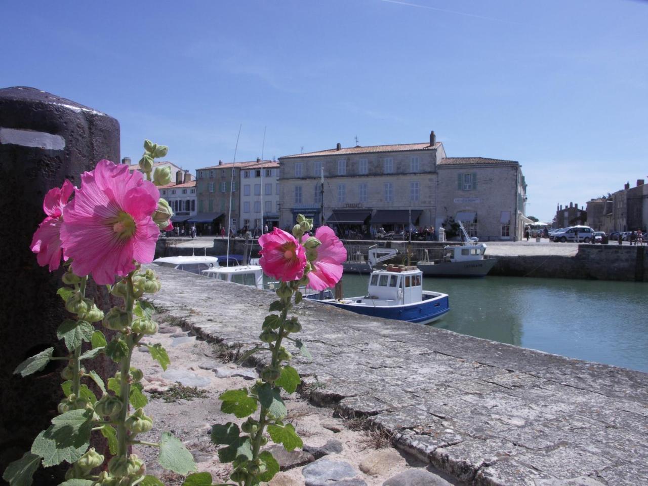 Appartement Fauvette Saint-Martin-de-Ré Dış mekan fotoğraf